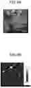 Fig. 08 - METHOD FOR PRODUCING ELECTROCHEMILUMINESCENCE NANOPROBE, ELECTROCHEMILUMINESCENCE NANOPROBE, ELECTROCHEMILUMINESCENCE SENSOR, ELECTROCHEMILUMINESCENCE DETECTION METHOD, AND KIT FOR ELECTROCHEMILUMINESCENCE DETECTION