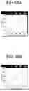 Fig. 22 - METHOD FOR PRODUCING ELECTROCHEMILUMINESCENCE NANOPROBE, ELECTROCHEMILUMINESCENCE NANOPROBE, ELECTROCHEMILUMINESCENCE SENSOR, ELECTROCHEMILUMINESCENCE DETECTION METHOD, AND KIT FOR ELECTROCHEMILUMINESCENCE DETECTION