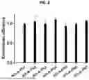 Fig. 03 - MODIFIED SMALL INTERFERING RNA MOLECULES WITH REDUCED OFF-TARGET EFFECTS