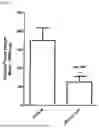 Fig. 02 - SIRNA STRUCTURES FOR HIGH ACTIVITY AND REDUCED OFF TARGET