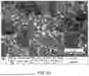 Fig. 06 - LEAD ELECTRODE FOR ELECTROCHEMICAL REDUCTION OF CARBON DIOXIDE AND METHOD OF PREPARING THEREOF