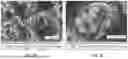 Fig. 07 - LEAD ELECTRODE FOR ELECTROCHEMICAL REDUCTION OF CARBON DIOXIDE AND METHOD OF PREPARING THEREOF