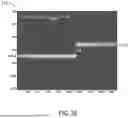 Fig. 09 - WHITE LIGHT INTERFEROMETRIC INSPECTION USING TILTED REFERENCE BEAM AND SPATIAL FILTERING