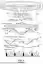 Fig. 02 - Magnetic Field Speed Sensor Output Signal Protocol