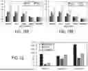 Fig. 20 - Deep Neural Network Operation Via Patterned Filter Clustering and Activation Group Reuse