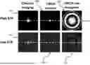 Fig. 01 - HOLOGRAPHIC ULTRA RESOLUTION IMAGING