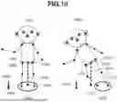 Fig. 11 - VIDEO IMAGE PROCESSING APPARATUS, POSTURE DETERMINATION METHOD, AND STORAGE MEDIUM