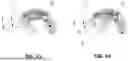 Fig. 06 - DENTAL HANDPIECE