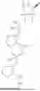 Fig. 07 - NUCLEIC ACIDS CONTAINING ABASIC NUCLEOSIDES