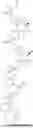 Fig. 131 - NUCLEIC ACIDS CONTAINING ABASIC NUCLEOSIDES