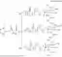 Fig. 80 - NUCLEIC ACIDS CONTAINING ABASIC NUCLEOSIDES