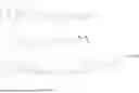 Fig. 99 - NUCLEIC ACIDS CONTAINING ABASIC NUCLEOSIDES