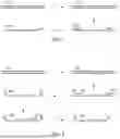 Fig. 02 - METHODS FOR SIMULTANEOUS AMPLIFICATION OF TARGET LOCI