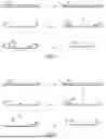 Fig. 03 - METHODS FOR SIMULTANEOUS AMPLIFICATION OF TARGET LOCI