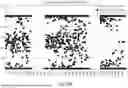 Fig. 24 - METHODS FOR SIMULTANEOUS AMPLIFICATION OF TARGET LOCI