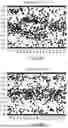 Fig. 26 - METHODS FOR SIMULTANEOUS AMPLIFICATION OF TARGET LOCI