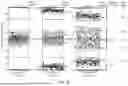 Fig. 33 - METHODS FOR SIMULTANEOUS AMPLIFICATION OF TARGET LOCI