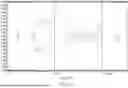 Fig. 53 - METHODS FOR SIMULTANEOUS AMPLIFICATION OF TARGET LOCI