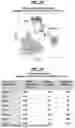 Fig. 08 - Methods and Model Systems for Assessing Therapeutic Properties of Candidate Agents and Related Computer Readable Media and Systems