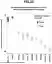 Fig. 12 - Methods and Model Systems for Assessing Therapeutic Properties of Candidate Agents and Related Computer Readable Media and Systems