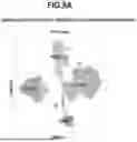 Fig. 31 - Methods and Model Systems for Assessing Therapeutic Properties of Candidate Agents and Related Computer Readable Media and Systems