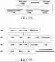 Fig. 06 - METHOD AND DEVICE FOR ULTRA-WIDE BAND COMMUNICATION