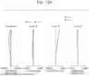 Fig. 20 - ZOOM LENS, AND IMAGING APPARATUS INCLUDING THE SAME