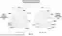 Fig. 35 - PRESBYOPIA-CORRECTING LENS SYSTEM HAVING HYPEROPIC / MYOPIC CORRECTION-DEPENDENT DESIGNS