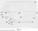 Fig. 18 - THREE-DIMENSIONAL BUILDING MODEL GENERATION BASED ON CLASSIFICATION OF IMAGE ELEMENTS