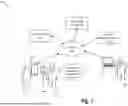 Fig. 02 - FACILITATING DIGITAL REFERRALS