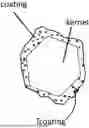 Fig. 01 - COATED SWEETENER PARTICLES