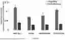 Fig. 28 - MUTANT ACE2 PROTEINS AND METHODS OF USING SAME