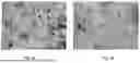 Fig. 06 - CROSS-FLOW MEMBRANE FILTRATION CHANNEL