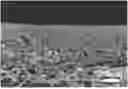 Fig. 01 - SEPARATION MEMBRANE BASED ON REACTIVE SUPPORT LAYER, PREPARATION METHOD AND APPLICATION