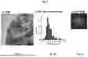 Fig. 06 - METHOD OF PRODUCTION OF METAL-CONTAINING SPHERICALLY POROUS CARBON PARTICLES