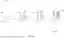 Fig. 14 - NUCLEIC ACID SEQUENCING BY SYNTHESIS USING MAGNETIC SENSOR ARRAYS
