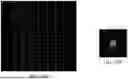 Fig. 29 - METHOD FOR PERFORMING CONTINUOUS SINGLE MOLECULE NUCLEIC ACIDS SEQUENCING