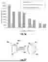 Fig. 34 - DMLS ORTHOPEDIC INTRAMEDULLARY DEVICE AND METHOD OF MANUFACTURE