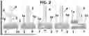 Fig. 03 - DEVICE AND METHOD FOR HANDLING ELEMENTS