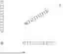 Fig. 06 - MULTIPLE COMPONENT APPARATUS FOR BROADENING ITEMS AVAILABLE FOR FLATBED PRINTING