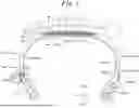 Fig. 02 - TIRE