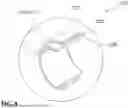 Fig. 09 - Control arm