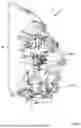 Fig. 10 - LAVATORY ARRANGEMENT