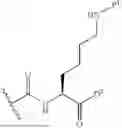 Fig. 100 - DLL3 TARGETING PEPTIDES AND CONSTRUCTS THEREOF