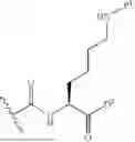 Fig. 104 - DLL3 TARGETING PEPTIDES AND CONSTRUCTS THEREOF