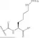Fig. 108 - DLL3 TARGETING PEPTIDES AND CONSTRUCTS THEREOF