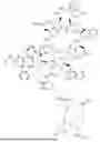 Fig. 110 - DLL3 TARGETING PEPTIDES AND CONSTRUCTS THEREOF