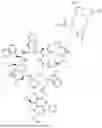 Fig. 113 - DLL3 TARGETING PEPTIDES AND CONSTRUCTS THEREOF