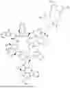 Fig. 115 - DLL3 TARGETING PEPTIDES AND CONSTRUCTS THEREOF