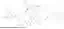 Fig. 129 - DLL3 TARGETING PEPTIDES AND CONSTRUCTS THEREOF